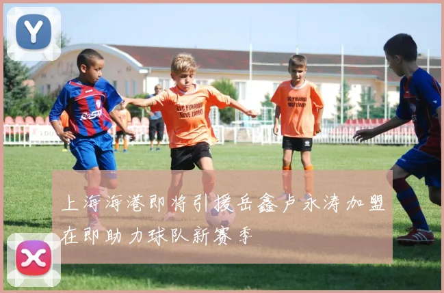 上海海港即将引援岳鑫卢永涛加盟在即助力球队新赛季